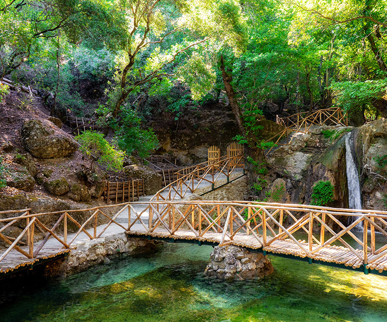 Wooden footbridge over a stream in the shaded Valley of the Butterflies, Petaloudes, Rhodes